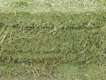 купить салому: Чөп беде престер сатылат. Бесплатно с доставкой по городу Токмок — 6