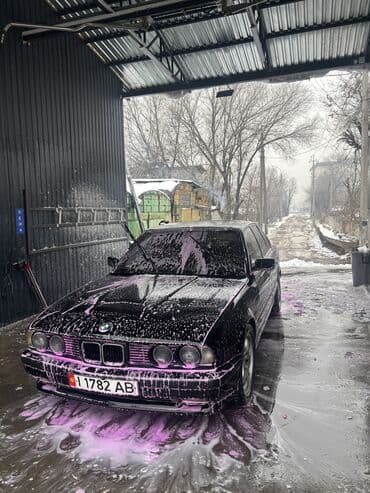 чехол на бмв: BMW 5 series: 1992 г., 2.5 л, Механика, Бензин, Седан — 8