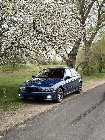 BMW: BMW 5 series: 2001 г., 2.5 л, Автомат, Бензин, Седан — 3