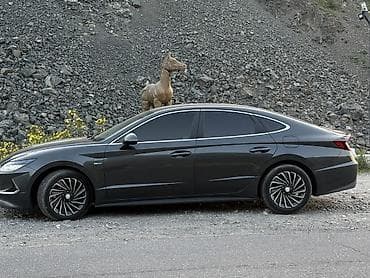 хендай соната гибрид: Hyundai Sonata: 2019 г., 2 л, Автомат, Гибрид, Седан — 4