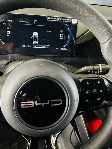 e 303: BYD E2: 2023 г., Автомат, Электромобиль, Кроссовер — 6
