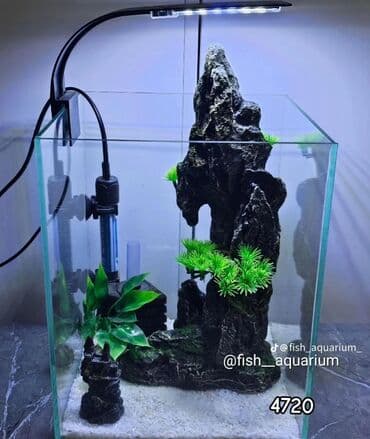 подарок девушке на новый год бишкек: Идеи для подарка на новый год. Комплекты с дизайном и оборудованием — 2