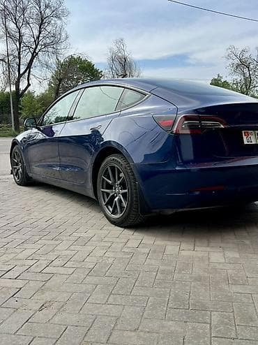 roidmi 4s: Tesla Model 3: 2022 г., 10 л, Автомат, Электромобиль, Седан — 3