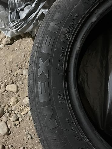 tir: Жайкы комплект донголоктор. Протекторлору жакшы фирмасы Nexen (корея — 4