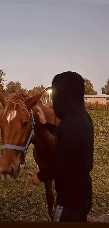 Официант. С опытом