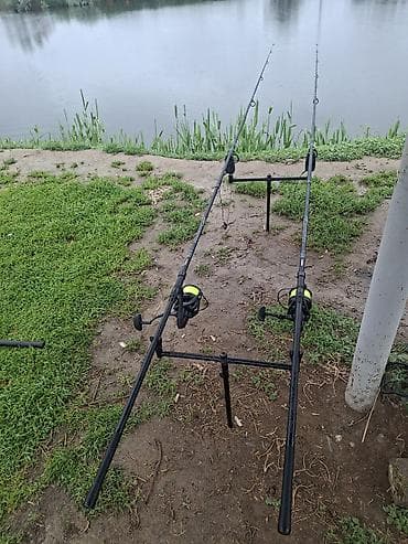 сом рыба: Карповый комплект для донной ловли Состав: - 2 карповые удилища на — 1