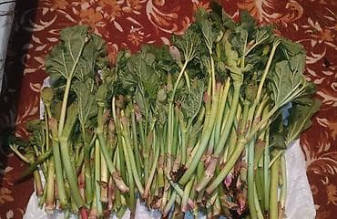 оптом сабиз: ЫШКЫН 
АЛАЙДЫКЫ
МУРДАШ
50сом — 1