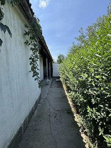 жаны уйлор: Продаётся капитальный кирпичный дом с большим огородом Адрес Ж/М Ала — 5
