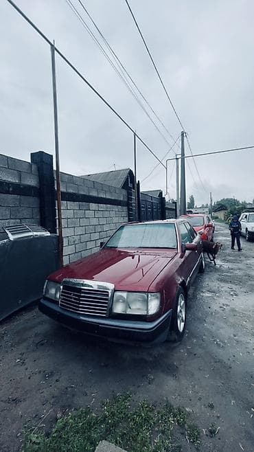 e 303: Mercedes-Benz E-Class: 2025 г., Седан — 2