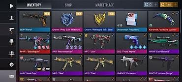 Цена инвентаря 2300~голды