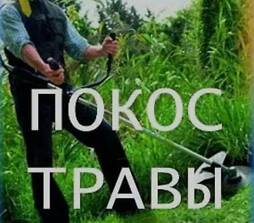 sprinter 2 2: Стрижка и формовка живых изгородей, кустарников и высоких бордюров - — 7