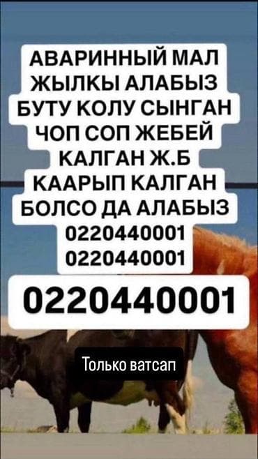 грунт для засыпки фундамента: Фундамент пескоблок забор шкатурка стяжка родбанд шпаклёвка крыша — 2