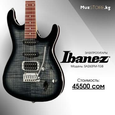 полуакустическая электрогитара: Гитары — 1