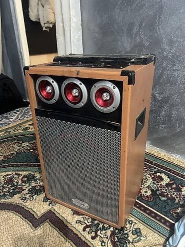 Портативная акустическая система TOWEL в корпусе под дерево с тремя at lalafo.kg Портативная акустическая система TOWEL в корпусе под дерево с тремя