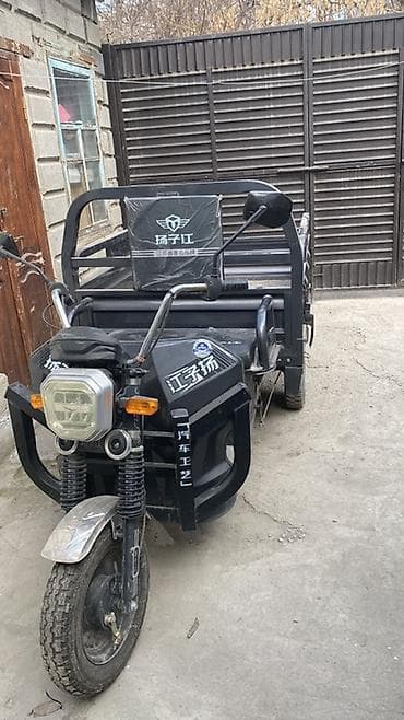 грузовые трициклы бензиновые: Легкий грузовик, До 1 т — 4