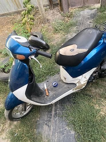 хонда дио стант: Скутер Honda Dio (AF-серия), синие/белые пластиковые панели. Влежение — 3