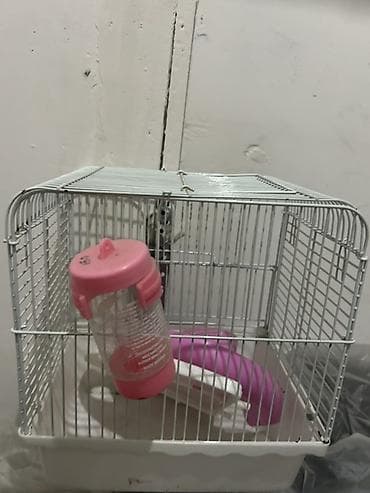 хомяки с клеткой: Клетка для мелких грызунов (хомяк, мышь, джунгарик) - Материал — 3