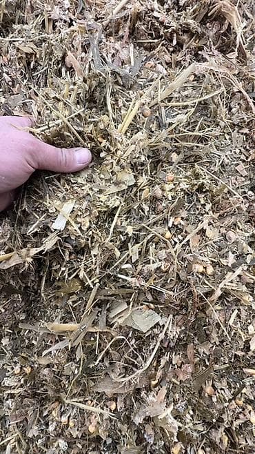 уй сан: Кукурузный силось в герметичных рулонах - Корм: кукурузный — 4