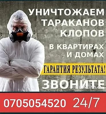 Дезинфекциялоо, дезинсекциялоо, | Таракандар, | Батирлер — 1