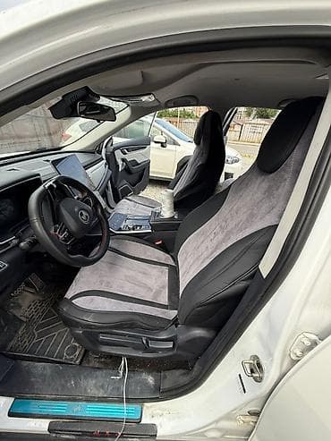 jx: Weltmeister EX5, 2021 г. — 3