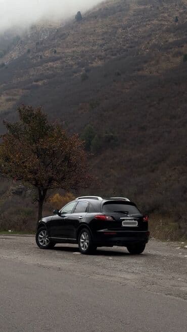 runx alex: Infiniti FX35: 2004 г., 3.5 л, Автомат, Газ, Кроссовер — 5