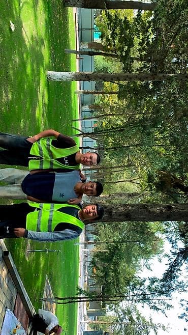 Уборка территории, Уборка двора и сада