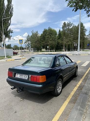 Audi 100: 1994 г., Кол менен иштөөчү, Бензин, Седан — 5