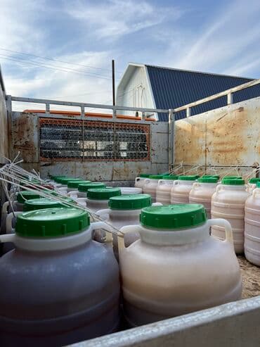 Продаётся горный,натуральный мёд❗️❗️❗️ оптом/розницу