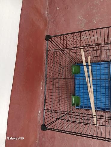 фильтр аквариум: Клетка для птиц (канарейки, волнистые попугаи и др.) Размер 32 - — 4