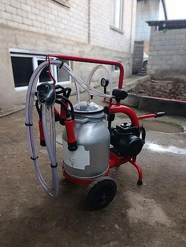 продаю козлят: Продаю в идеальном состоянии турецкий доильный аппарат на одну — 1