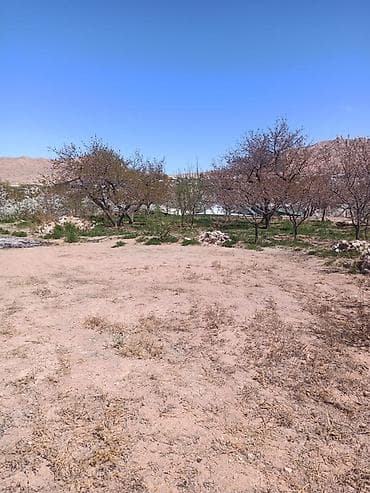 Продажа участков: 10 соток, Красная книга — 3