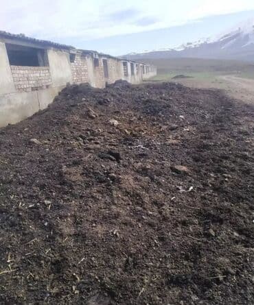 компост купить: В тоннах, Бесплатная доставка, Платная доставка, Зил, Камаз, Хово — 4