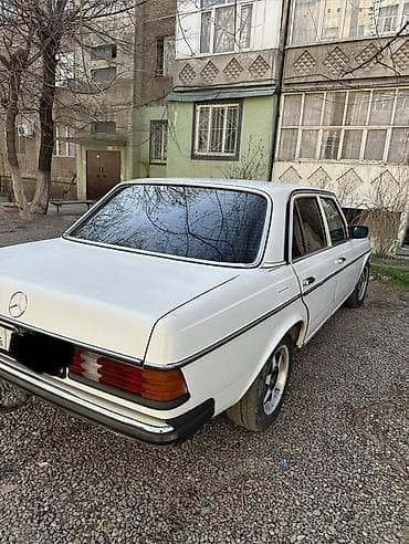 Mercedes-Benz W123: 1982 г., 2.9 л, Ручные, Дизель, Седан — 2