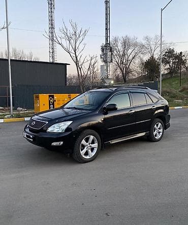 автоком: Lexus RX: 2004 г., 3.3 л, Автомат, Газ, Кроссовер — 1
