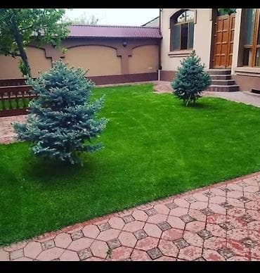 Кызматтар: Посеем газон 🌿 есть гарантия если один квадратный метр по 300 сом /под — 1