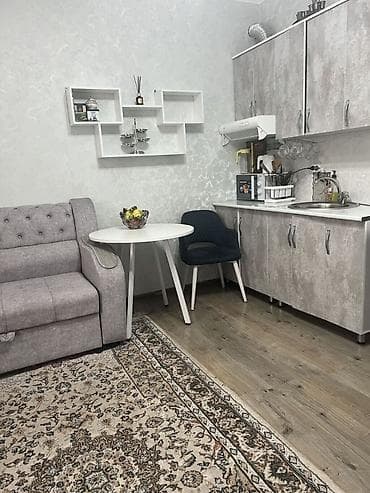 Продажа квартир: 1 комната, 24 м², Индивидуалка, 2 этаж, Евроремонт — 4