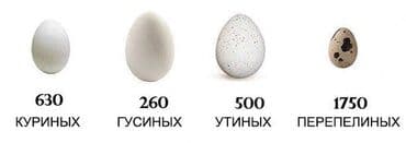 корм для форел: Фермерский инкубатор Блиц База с расширенной вместительностью: 630 — 5