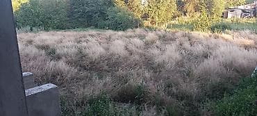 Продаю дом 17 соток село виноградом школа и балнится радом — 3