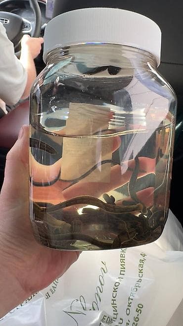 био гумыс: Продаю лицензионные с сертификатами медицинские аптечные и — 6