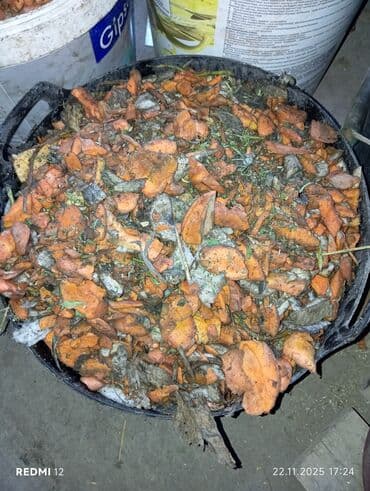 шины бу бишкек оптом: Чөп, жашылча жемиш майдалачуу, колго жасалган агрегат сатам. Пресс — 5