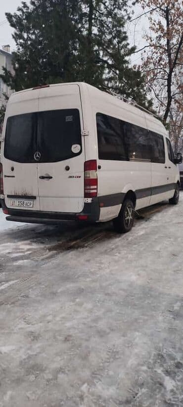 bus: По региону, Аэропорт, По городу Бус | 17 мест — 4