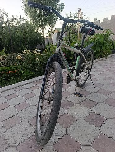 Велосипеддер: Тоо велосипеди, Болот — 1