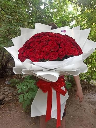 Бөлмө өсүмдүктөрү: Акция 51 роза 1900‼️Дешево Розы букеты оптом и в розницу 24/7 доставка — 3