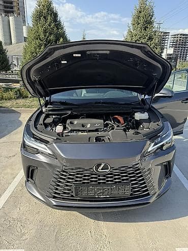 лекс: Lexus RX: 2025 г., 2.5 л, Вариатор, Гибрид, Кроссовер — 10