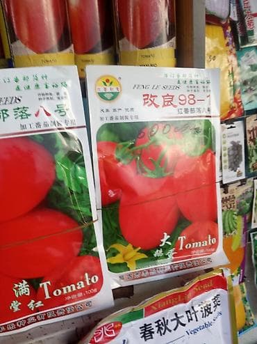 Продается семена Китай новичок помидор — 6