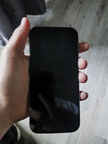 iphine xs: IPhone 16 Pro, Space Gray — 3