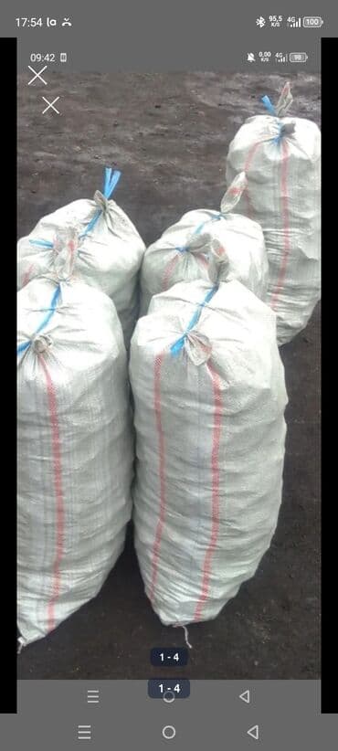 где купить семена пшеницы: Дрова — 1