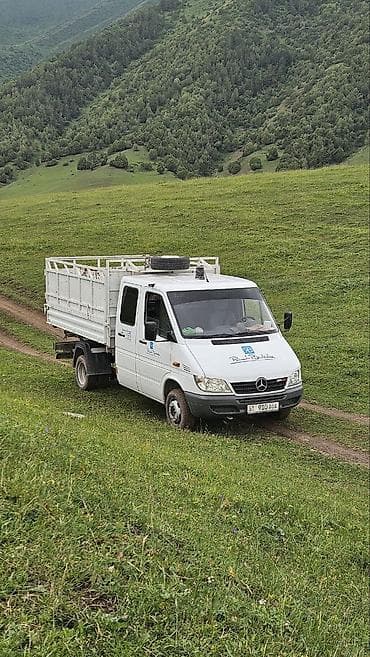 Услуги: Перевозка скота на специализированном грузовике (борта с высоким — 3
