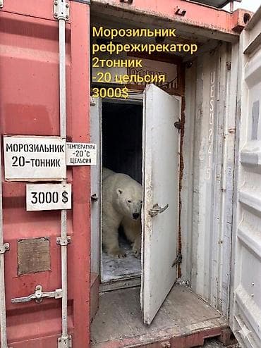 Холодильный контейнер-рефрижератор (20 тонник) минус 20-30 держит