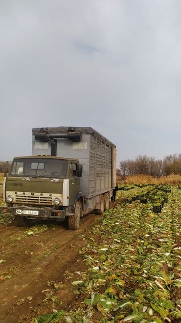 камаз 10: Грузовик, Камаз, Стандарт, 7 т, Б/у — 1